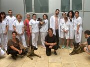 Primera sesión de caninoterapia para los pacientes de Salud Mental del Hospital General de Elda Caninoterapia para los pacientes de Salud Mental del Hospital General de Elda