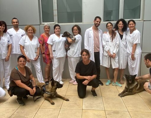 Primera sesión de caninoterapia para los pacientes de Salud Mental del Hospital General de Elda Caninoterapia para los pacientes de Salud Mental del Hospital General de Elda