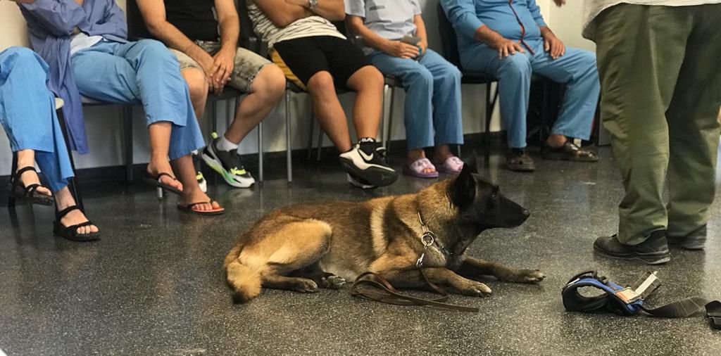 Caninoterapia para los pacientes de Salud Mental del Hospital General de Elda 