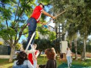 Alumnos del CIPFP Valle de Elda recolectan olivos situados en jardines de la ciudad para la elaboración de aceite