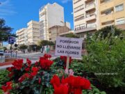 ¡Atención, ladrones de flores! Los vecinos de Elda están hartos de sus fechorías Cartel anti ladrones de flores en Elda