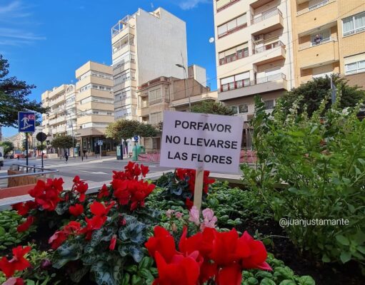 ¡Atención, ladrones de flores! Los vecinos de Elda están hartos de sus fechorías Cartel anti ladrones de flores en Elda