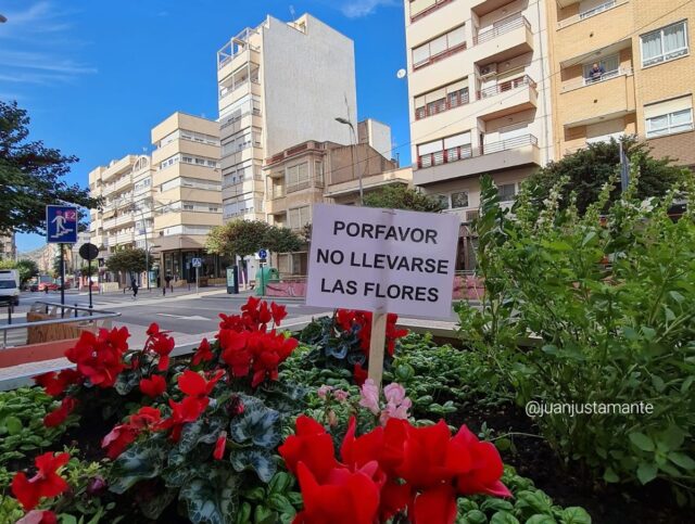 Cartel anti ladrones de flores en Elda