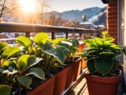 Consejos expertos para cuidar tus plantas en invierno