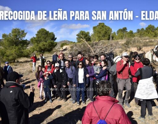 El viernes arrancan los actos con los que Elda celebra la Media Fiesta en honor a San Antón Recogida de leña para la hoguera de San Antón en Elda