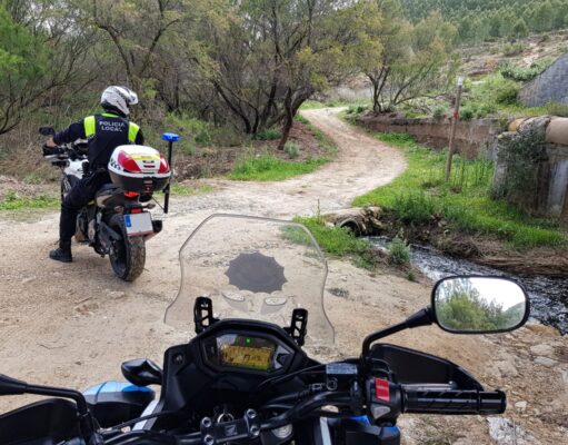 Dos mastines sueltos siembran el miedo en Camara: la Policía Local de Elda denuncia a la dueña ARCHIVO: POLICÍA LOCAL ELDA