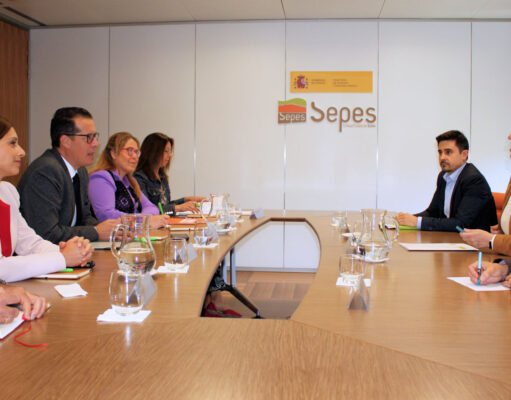 Rubén Alfaro se desplaza a Madrid para solicitar al Sepes la ampliación de la superficie de suelo industrial en Elda y urbano para vivienda social. El alcalde de Elda, Rubén Alfaro, se ha reunido con la directora general de la Entidad Pública Empresarial de Suelo (Sepes), Leire Iglesias