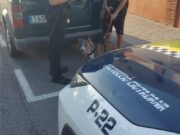 La Policía Local de Petrer intensifica el control de los perros en la vía pública