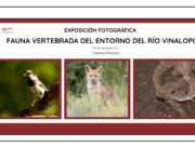 Una exposición fotográfica reúne una selección de la fauna que tienen su hábitat en el Vinalopó a su paso por el término municipal de Elda