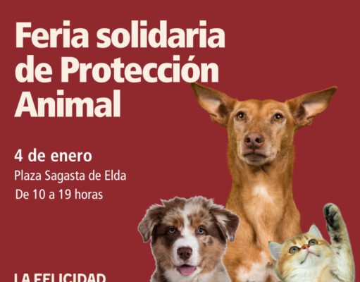 La Plaza Sagasta de Elda acogerá el próximo 4 de enero la primera edición de la Feria de Protección Animal para impulsar la adopción responsable