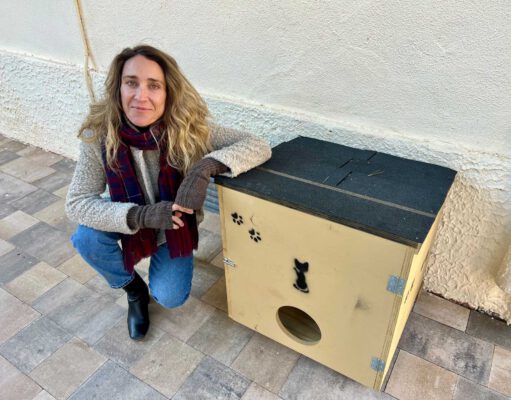 Instaladas 20 nuevas casetas refugio para las colonias felinas de Elda Casetas felinas Elda