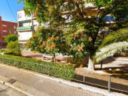 El Ayuntamiento de Elda renovará el paseo ajardinado de San Francisco de Sales, mejorando las zonas verdes, el riego y el mobiliario urbano Paseo ajardinado del barrio de San Francisco de Sales