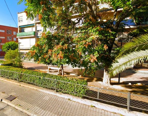 El Ayuntamiento de Elda renovará el paseo ajardinado de San Francisco de Sales, mejorando las zonas verdes, el riego y el mobiliario urbano Paseo ajardinado del barrio de San Francisco de Sales