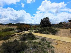 El Ayuntamiento de Elda lanza una guía sobre la flora del río Vinalopó para acercar la naturaleza a la población Río Vinalopó Elda 2025 - @juanjustamante Foto