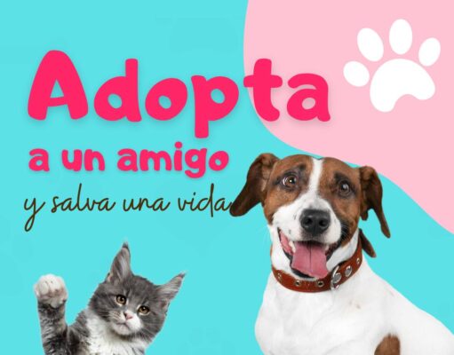 ‘Adopta y salva una vida’ campaña en Elda para fomentar la adopción responsable de animales de compañía