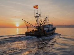 Los socialistas españoles en el Parlamento Europeo han denunciado el “recorte drástico” en las cuotas de pesca en el Mediterráneo para 2026