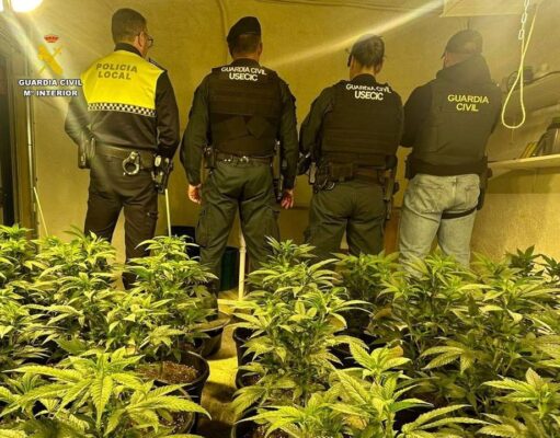 Desmantelan en Elda una plantación de cannabis con 800 plantas en un inmueble camuflado como empresa de jardinería