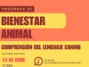 Una sesión para identificar el estrés y las señales emocionales en perros, este 24 de abril en Elda en la Casa Colorá