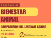 Una sesión para identificar el estrés y las señales emocionales en perros, este 24 de abril en Elda en la Casa Colorá