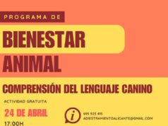 Una sesión para identificar el estrés y las señales emocionales en perros, este 24 de abril en Elda en la Casa Colorá